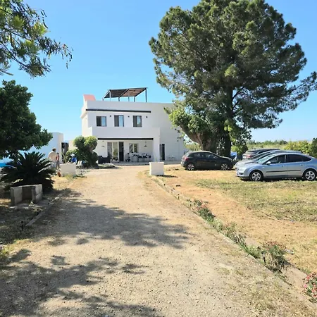 Naranjos * Carcaixent